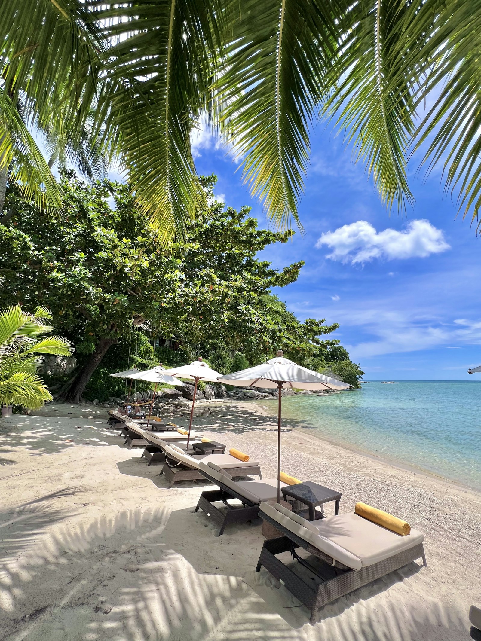 Empty loungers and white umbrellas under coconut palms on a quiet Koh Samui beach in September